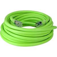 Cordon rallonge industriel Flexzilla Pro, Toutes saisons, SJTW, AWG 10/3, 15 A, 50' GTA Hardware Inc