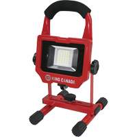 Baladeuse, DEL, 15 W, 1500 lumens, Boîtier en Aluminium GTA Hardware Inc