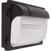 TWX Wall Luminaire, LED, 480 V, 9 W - 54 W, 14" H x 18" W x 5" D GTA Hardware Inc