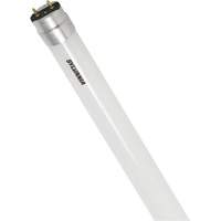 Ampoule DEL en verre givr&eacute; SubstiTUBE, 12 W, T8, 5000 K, 48" l GTA Hardware Inc