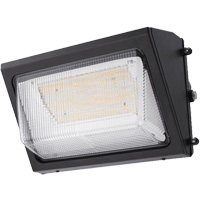 Wall Pack Light Fixture, LED, 120 -347 V, 80 W GTA Hardware Inc