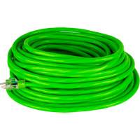 Cordon rallonge de calibre industriel, Toutes saisons, SJTW, AWG 10/3, 15 A, 50' GTA Hardware Inc