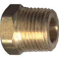 Hex Head Cored Plug, Pipe, 1/8" Dia., Brass GTA Hardware Inc